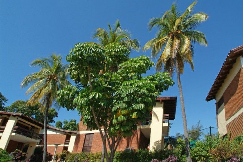 Hotel Versalles Santiago de Cuba Exterior foto